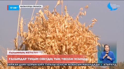 Қызылордада жергілікті ғалымдар егін шаруашылығын дамытуға үлес қоспақ