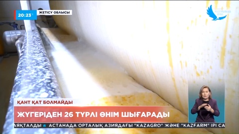 Жетісу облысындағы Жаркент крахмал-сірне зауыты биылғы жылдың өнімін қабылдай бастады