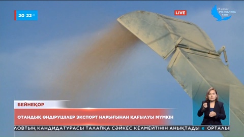 Отандық астық өндірушілер экспорт нарығынан қағылуы мүмкін