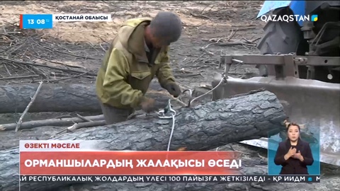 1 қарашадан бастап орманшылардың жалақысы өсетін болды