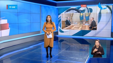 Мемлекет басшысы адам құқықтары жөніндегі комиссия төрағасымен кездесті