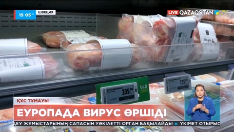 Еуропаның 37 елінде құс тұмауы эпидемиясы өршіді