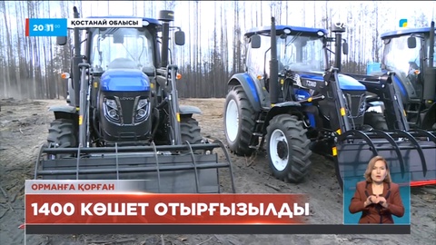 Қостанай облысында өртенген орманды қалпына келтіру жұмысы басталды