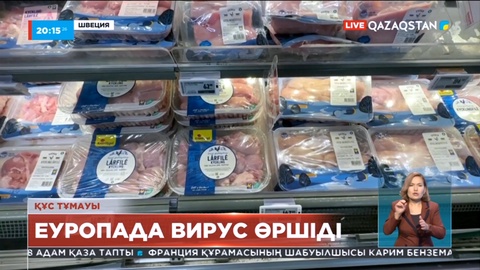 Құс тұмауы: Еуропада вирус өршіді
