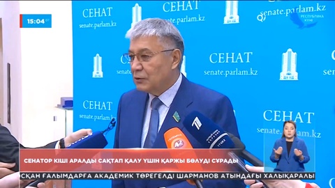 «Кіші Аралдан айырылып қалуымыз мүмкін». Сенатор бюджеттен қаржы сұрады