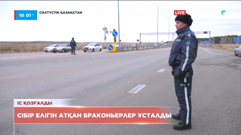 Солтүстік Қазақстанда Сібір елігін атқан браконьерлер ұсталды