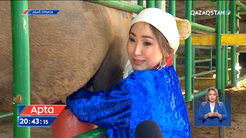 Кезектен тыс президент сайлауына 3 апта қалды