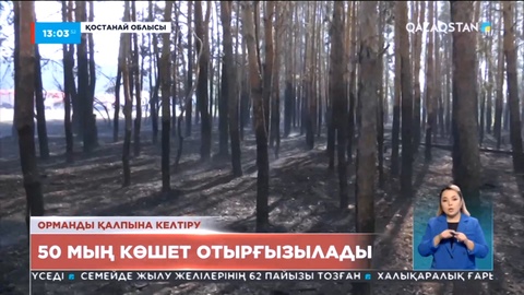 Қостанай облысында 50 мың түп көшет отырғызылады