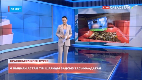 Шығыс Қазақстанда 6 мыңнан аса тірі шаянды заңсыз тасымалдаған тұрғын ұсталды