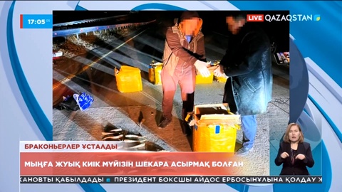 Жетісу облысында 100 келіден астам киік мүйізін сатпақ болғандар ұсталды