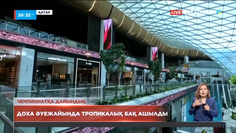 Қатар астанасы Доһа әуежайында тропикалық бақ ашылды