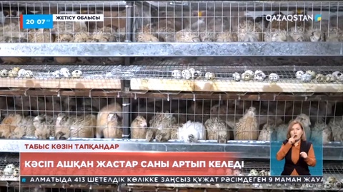 Жетісу облысында кәсіп ашқан жастар саны артып келеді