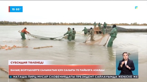 Балық өсіруге салынатын құн салығы 70 пайызға азаяды