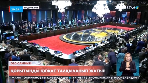 G20 саммитінде Зеленский «Бейбітшілік формуласын» ұсынды