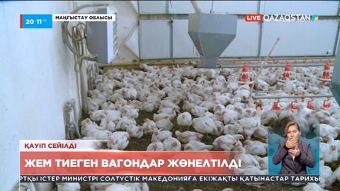 Ақтаудағы құс фабрикасына жем тиелген вагондар жөнелтілді