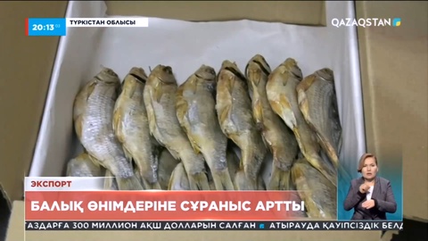 Шардара ауданында балық өңдейтін кәсіпорындар өнімнің сексен пайызын сыртқа экспорттаған