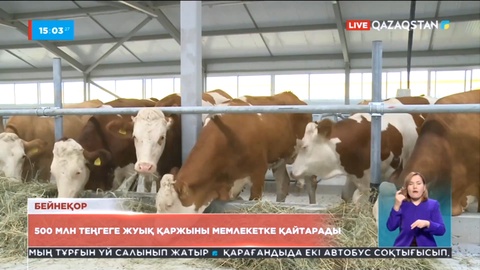 Павлодардағы ауыл шаруашылық фермасы 500 млн теңгеге жуық қаржыны мемлекетке кері қайтарады