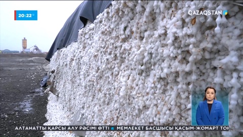 Түркістан облысы Ордабасы ауданының шаруалары өнімінің ақшасын ала алмай жүр