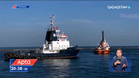 Тегеран Ресейге камикадзе-дрондарын сатқанын мойындады