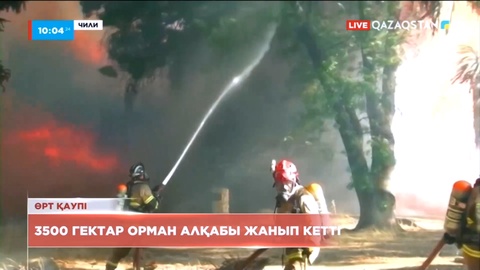 Чилиде 3500 гектар орман алқабы жанып кетті