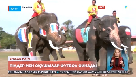 Таиландта пілдер мен оқушылар футбол ойнады
