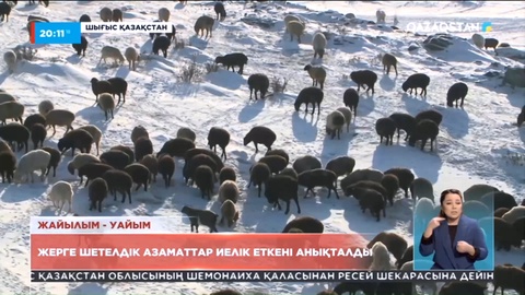 Шығыста ауыл шаруашылығы жерлеріне  шетел азаматтары иелік етіп отыр