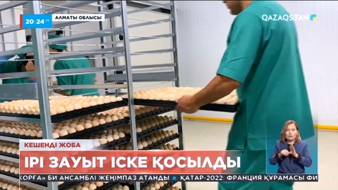Алматы облысында құс етін өндіретін ірі зауыт іске қосылды