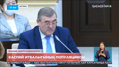 Сенатор Каспий итбалығының популяциясын қалпына келтіру мәселесін көтерді