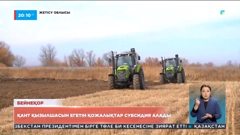 Жетісу облысында қызылша егетін шаруаларға субсидия берілмек