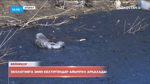 Атырауда табиғатқа зиян келтіргендер 287 млн теңге айыппұл арқалады