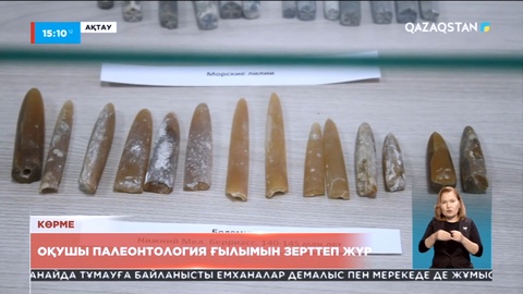 Ақтауда оқушы палеонтология ғылымын зерттеп жүр