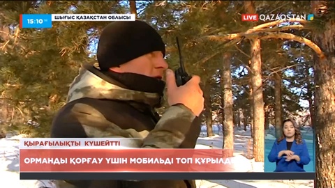 Шығыс Қазақстанда орманды қорғау үшін мобильді топ құрылды