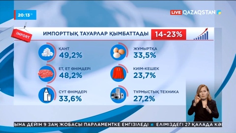 Импорттық тауарлар бағасы 23% қымбаттаған