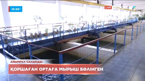 СҚО-да коммуналдық мекемеге 8,5 млн теңге айыппұл салынды