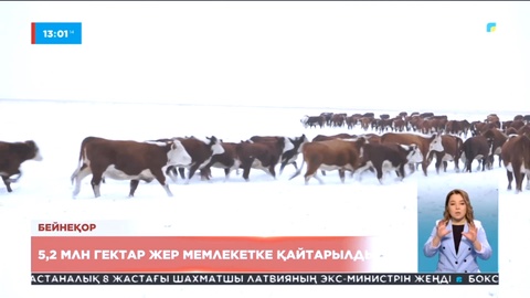 Биыл 5,2 млн жер мемлекетке қайтарылды
