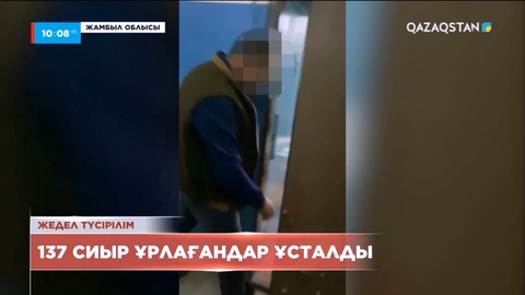Жамбыл облысында 137 сиырды ұрлағандар ұсталды