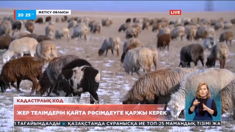 Жетісу облысындағы шаруалар субсидия алудан қиналуы мүмкін