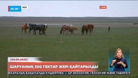 БҚО-да шаруаның 300 га жері қайтарылды