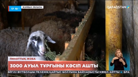 Жамбыл облысында 3000 ауыл тұрғыны кәсіп ашты
