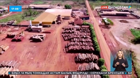 Оталған ормандармен байланысты өнімдер сатылмайды