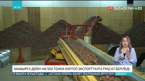 Мамырға дейін 144 500 тонна картоп экспорттауға рұқсат беріледі