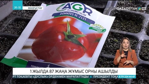 Маңғыстау облысындағы ауданда 1 жылда 87 жаңа жұмыс орны ашылды