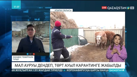 Атырау облысында мал ауруы дендеп, төрт ауыл карантинге жабылды