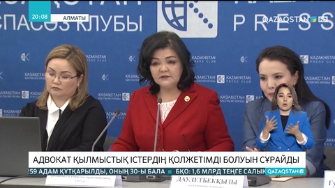 Адвокат Айман Омарова қылмыстық істердің қолжетімді болуын сұрайды