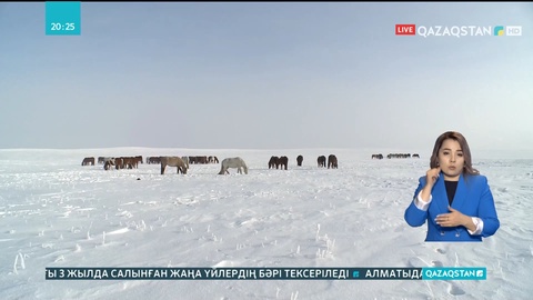 Пайдаланылмаған 3,2 млн гектар жер қайтарылды