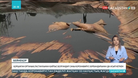 Қоршаған ортаның ластануынан қайтыс болғандар саны коронавирус құрбандарынан да асып кеткен