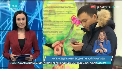 Көлеңкедегі ақша бюджетке қайтарылады