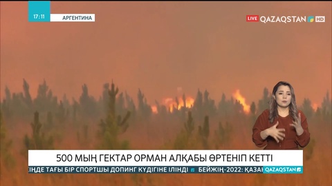 Аргентинада 500 мың гектар орман алқабы өртеніп кетті