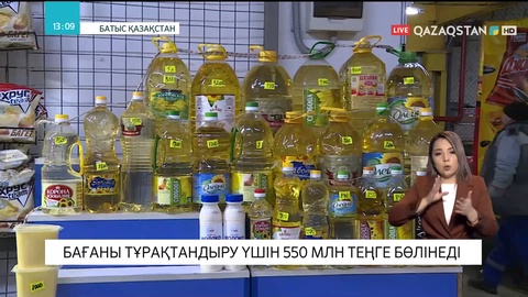 Батыс Қазақстанда бағаны тұрақтандыру үшін 550 млн теңге бөлінеді