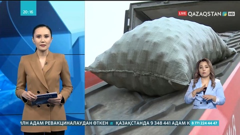 Елімізде картоп пен сәбізді экспорттауға шектеу алынды